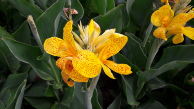 Na vycházce v Luhačovicích