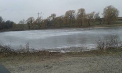 Zamrzlý rybník bez labutí