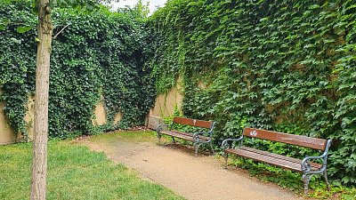 20200803-163806.jpg
