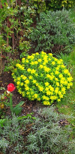 20220507-095358-3.jpg