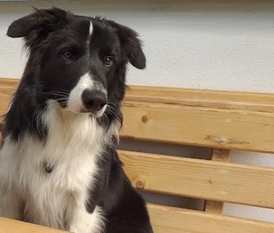 Ahoj, já jsem Harry