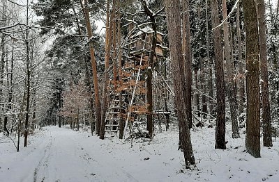 Pojď nahoru....