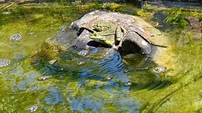 Na sluníčku je nám fajn