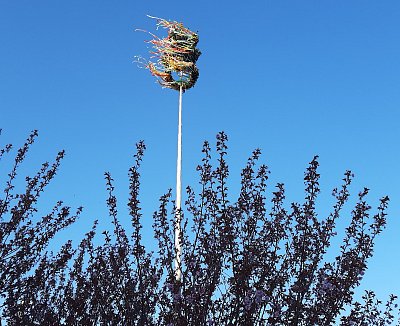 Doupovská už stojí....