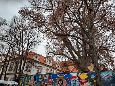 A Klenbu Buh nazval Nebem aneb vse a všichni jsme se správnou volbou pod ochranou....