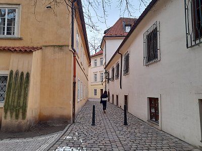 Vzduchem se šíří vůně Jara.. *