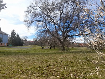 Cestou ...cestou, ne necestou...*