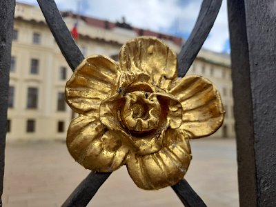 Ve všem je Duch...*