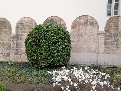 Kostel maltezskych rytířů Kvete.