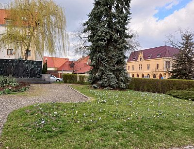 kveteme si jen tak v trávě