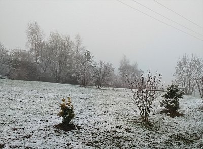 Bílá sobota u Tábora