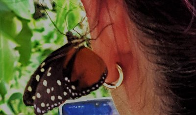 S motýlem za uchem