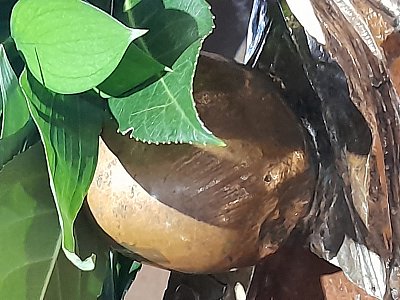 Mnohovyznamovy symbol.....nevím...*