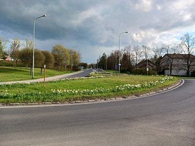 cibuloviny kolem hlavní silnice