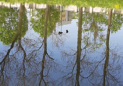 Hlavou dolů, jen kačkám se nechtělo...