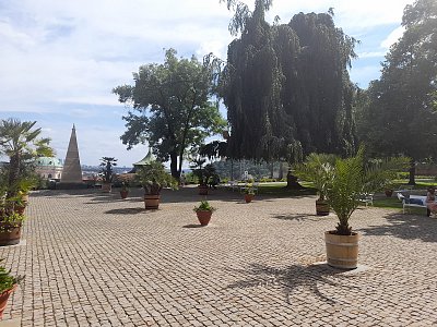 Pokora a smelost v  upravach Plecnikovych ...*