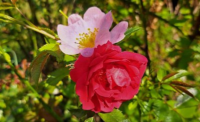 Která z nás je krásnější