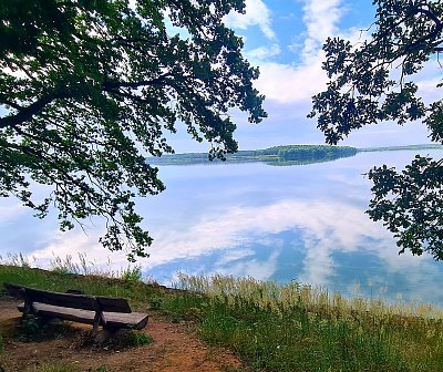 Rybník Rožmberk