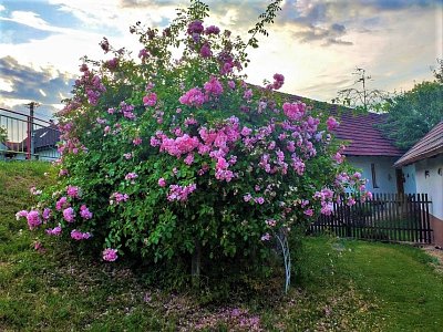 Nechybí u žádného stavení