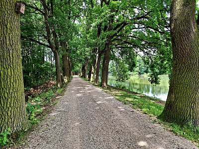 Na hrázi rybníka Datlík