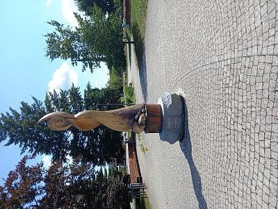 Foto ze startu