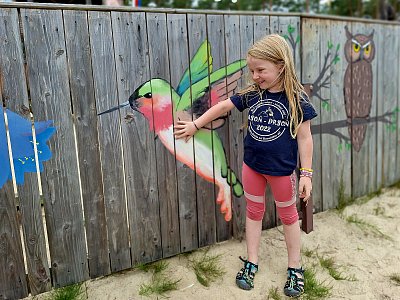 Našla jsem kolibříka