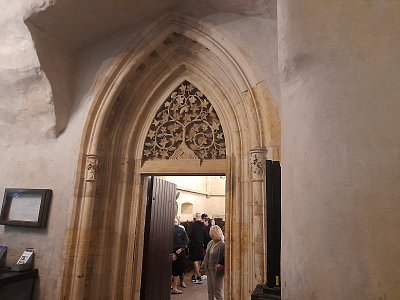 Se Stromem Života dnešním putováním...*