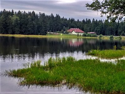 Rybník Sykovec