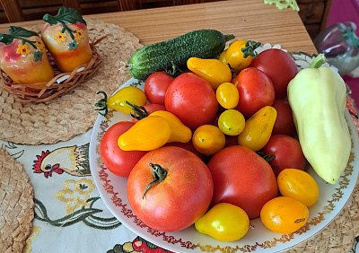 A začínáme pěstovat, co zahrádka dá