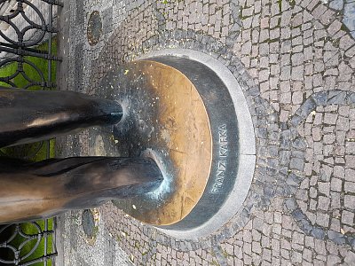 Povídka Proměna nesoucí sochu Franze Kafky.