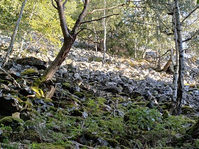 Kamená řeka pod vrcholem.