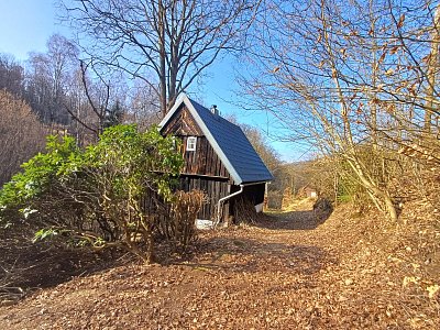 Schovaný za rododendronem