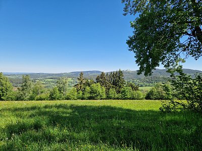20240515-112824.jpg
