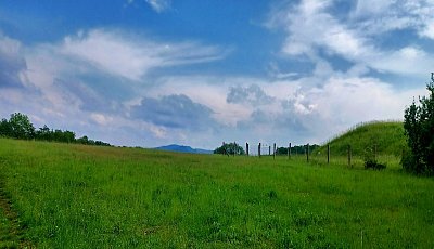 20240526-153831.jpg
