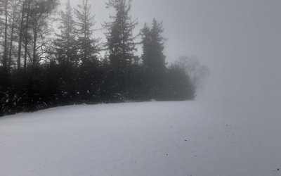 20241210-111054.jpg