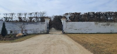20250310-120913.jpg