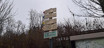 20250310-164915.jpg