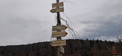 20250310-170423.jpg