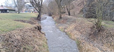 20250313-115512.jpg