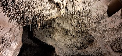 20250313-124457.jpg