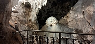20250313-124501-1.jpg