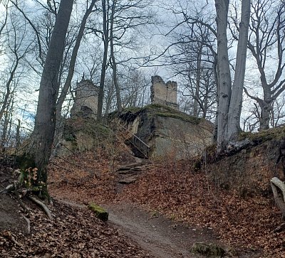 Začíná se představovat.