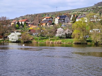 20250412-120843.jpg