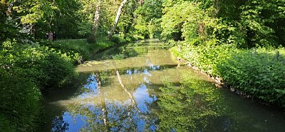 20250511-160608-1.jpg