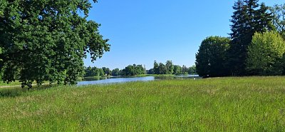 20250513-085153.jpg