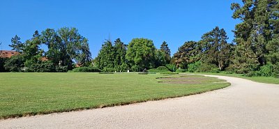 20250513-091455.jpg