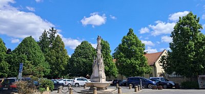 20250513-121748.jpg