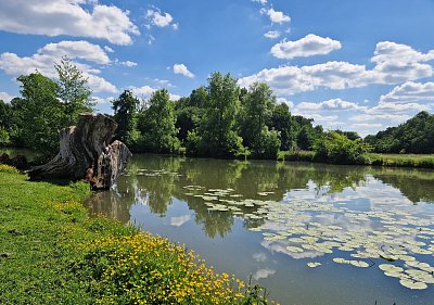 20250513-144131.jpg