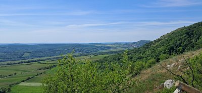 20250514-105535.jpg