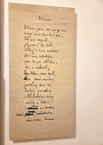 20250708-162344.jpg